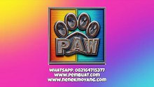 Junggle PAW (Percetakan Advertising Warahmah) Percetakan Kendari Advertising Kendari SulTra