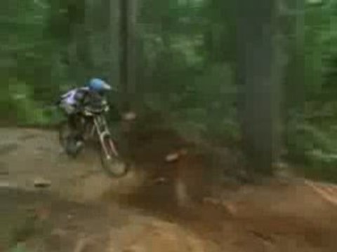 Freeride Downhill Section Roam
