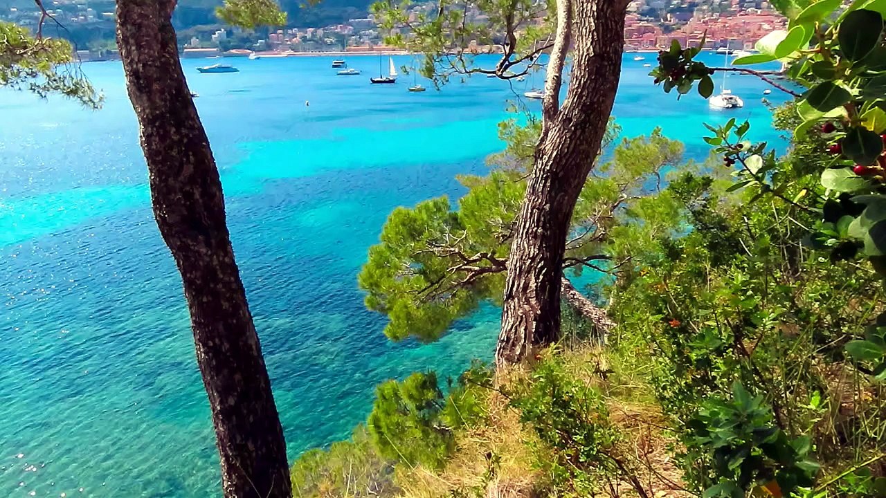 Le grand Bleu d'Azur