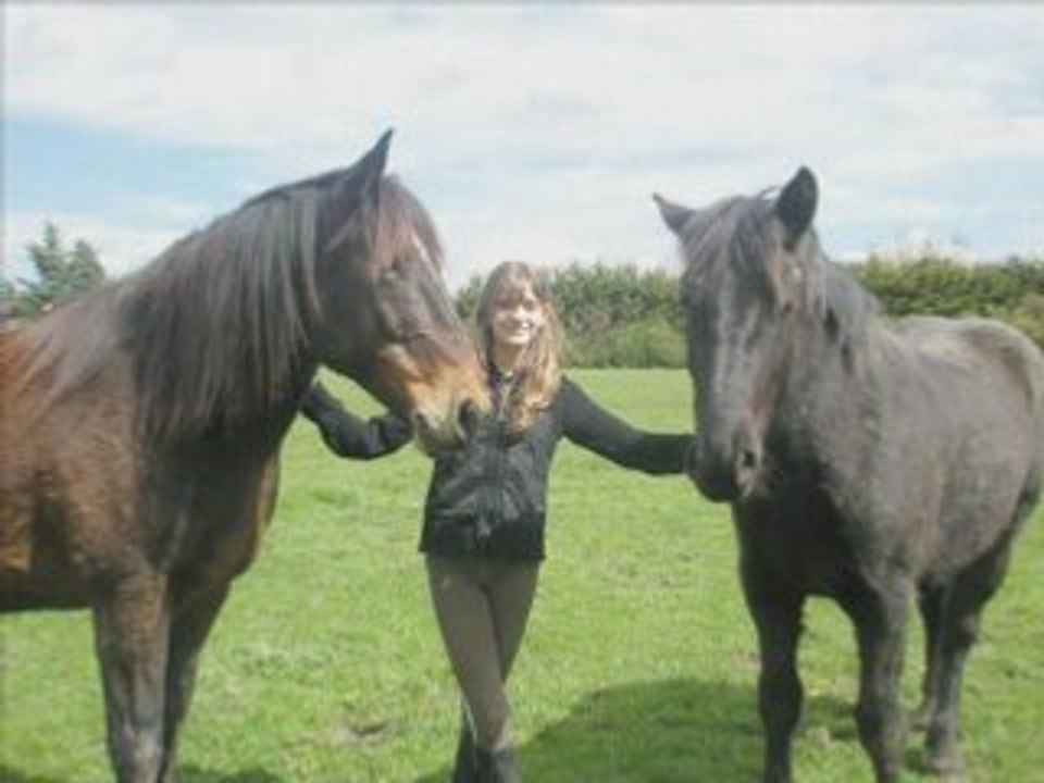 Equitation 4ever !!!!!