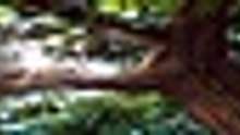 ...Dandelion ...S01E04 [Full Movie] [Full Story]Full EP - Full