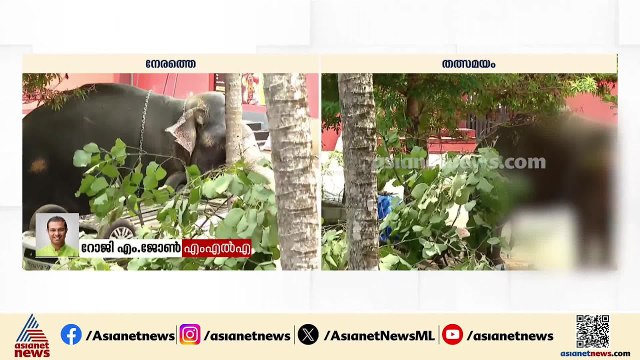 ആനയെ തളയ്ക്കാനുള്ള സംഘം എത്താൻ വൈകി; ആന വളരെ വയലന്റായിരുന്നു: റോജി എം. ജോൺ