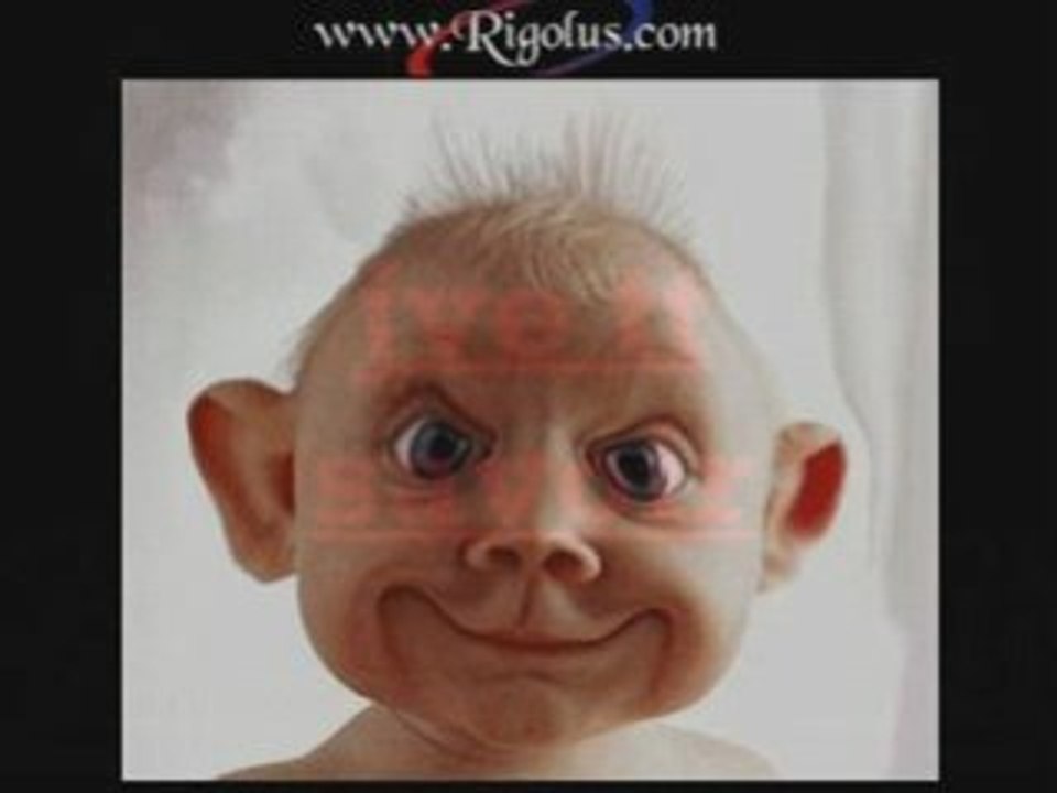 El babbine_0002