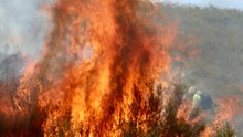 La preocupante advertencia de un cabrero de la sierra de la Culebra (Zamora) sobre lo que puede volver a ocurrir este verano: "Va a arder todo"