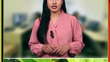 निचलौल में दिखा विशाल अजगर! चमनगंज नहर पुल के नीचे मचा हड़कंप