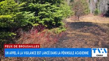TVA Nouvelles CHAU 12h 1er mai 2026