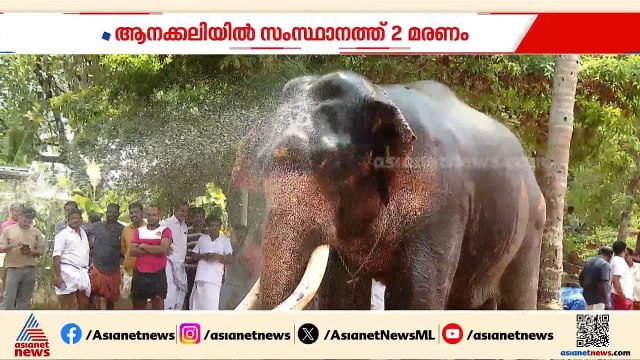 ആനക്കലിയിൽ ഇന്ന് പൊലിഞ്ഞത് രണ്ട് ജീവനുകൾ | Elephant Attack | Thrissur | Angamaly