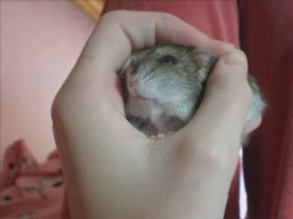 Hommage à Edgar