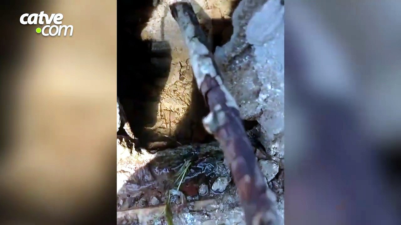 Moradora denuncia água parada e larvas em túmulo de cemitério em Cascavel