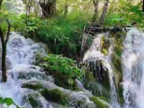 Diapo musical virtuose japonnais