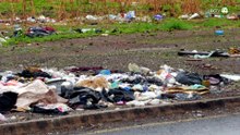 Arrojan colchones y muebles en calles Guadalajara; retiran 33 toneladas