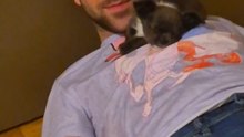 Je dors sur mon humain… erreur 😭🐶