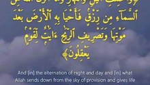 سورة الجاثية | آيات 1-7 | Surah Al-Jathiyah 45:1-7 | تلاوة خاشعة تهز القلب وتنير البصيرة