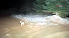 Kastamonu’nun yüksek kesimlerinde kar yağışı etkili oluyor