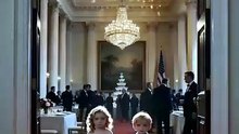 Oops... I Had the President's Wolf Babies #C
