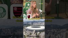 Leila Pereira ironiza acordo de Flamengo e Fluminense para shows no Maracanã #shorts