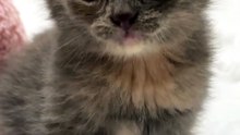😮😮😮