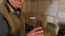 La meilleure méthode de conservation des œufs fécondés 🐔