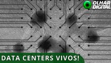 Startup constrói data center com neurônios humanos