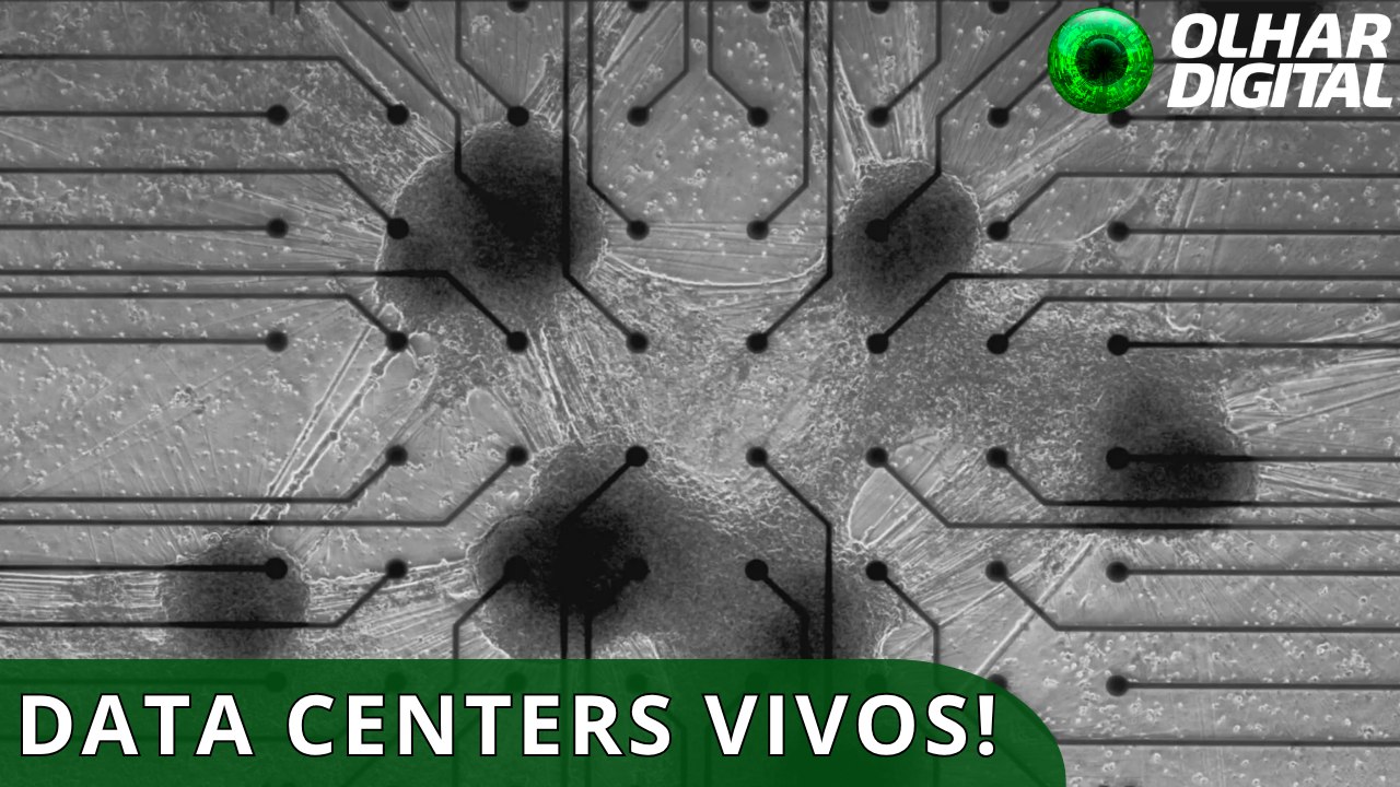 Startup constrói data center com neurônios humanos
