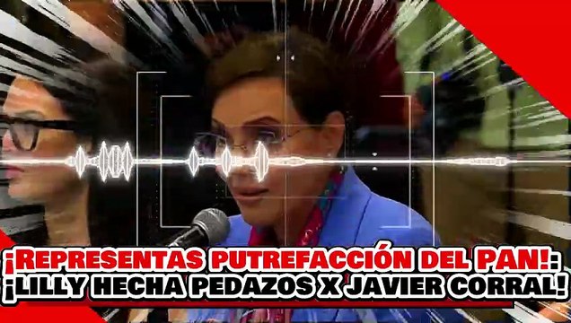 🔥🚨¡REPRESENTAS LA PUTREFACCIÓN DEL PAN! ¡la NARKO MERETRIZ LILLY es HECHA PEDAZOS x JAVIER CORRAL!