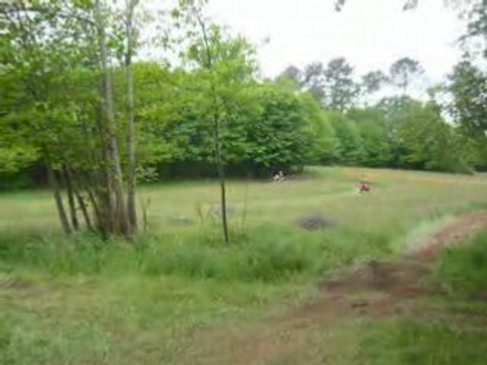 Quad saut guillom
