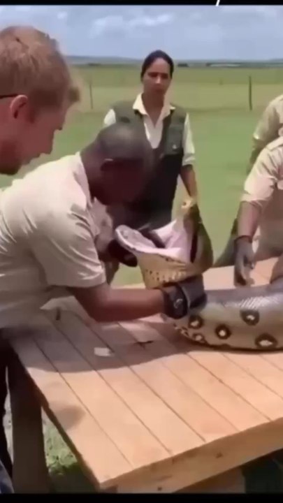 Why?