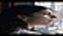 S o m e t h i n g   V e r y   B a d   I s   G o i n g   T o   H a p p e n   S 0 1 E 0 2 [Full Movie] [Trending Drama]Full EP - Full
