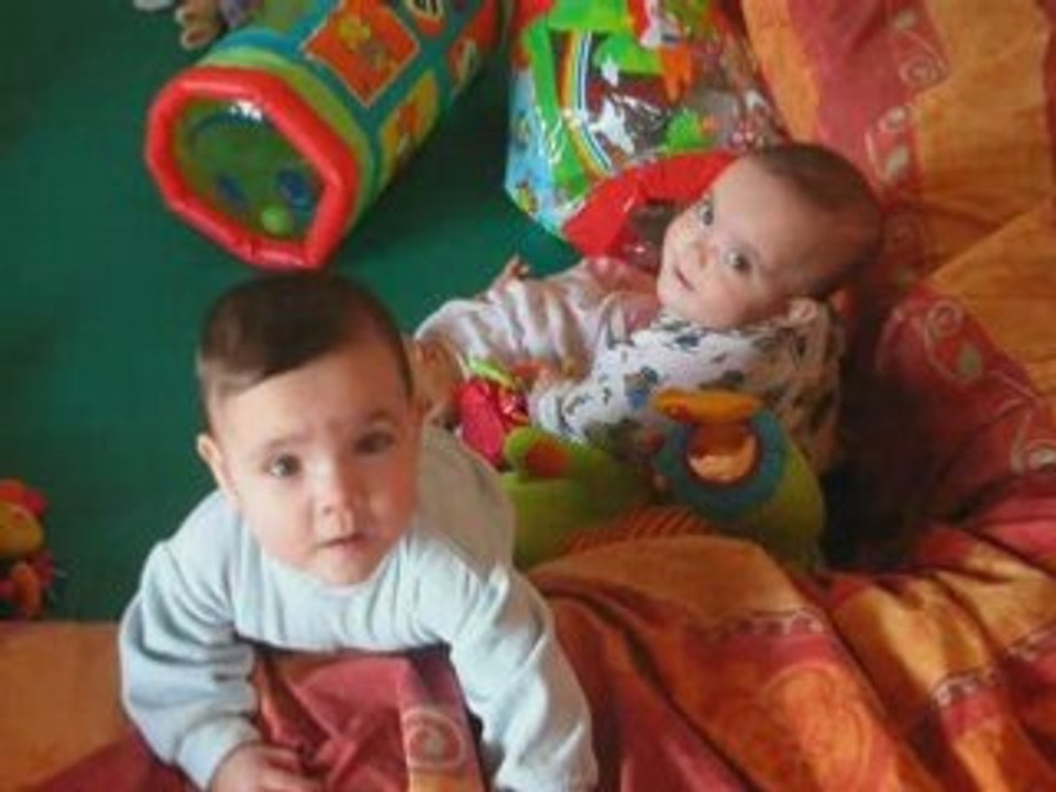 Les puces
