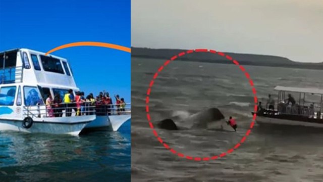 Jabalpur Cruise Accident: Bargi Dam में Life Jacket क्यों नहीं बचा पाई लोगों की जान ? ये 1 Mistake..