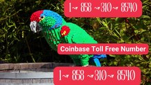 {{ＯFFICIAL}}™ {[GUIDE]} ⁂Coinbase® Toll free© helpline® Numbers Contact⁂ (24/7) Live Person Care)