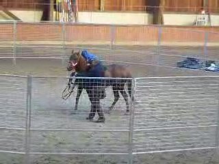 Monty Roberts 10 Juin 2008