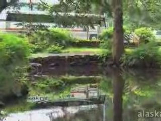 Alaska.org - Totem Bight Park & City Tour - Ketchikan ...