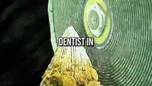Why You Should NEVER Be a Shark Dentist! 🦷🦈