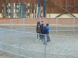 Monty Roberts 10 Juin 2008