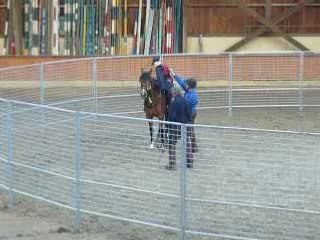 Monty Roberts 10 Juin 2008