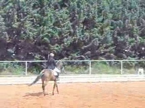 Juliette et Moya Dressage Club1 Grand Prix