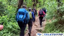 Video News - Chi è l'accompagnatore di media montagna?