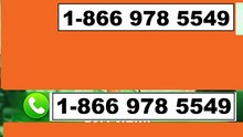24/7『SQUARE CASH APP CUSTOMER®』 SERVICE© CARE℗ NUMBERS TOLL FREE NUMBER: HELP-DESK