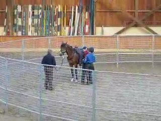 Monty Roberts 1à Juin 2008
