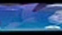 H o n o u r . S 0 1 E 0 6 [Full Movie] [Official Release]Full EP - Full