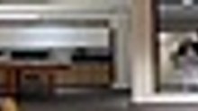 T h e   P r a c t i c a l   G u i d e   T o   L o v e   S 0 1 E 1 1 [Full Movie] [Full Storyline]Full EP - Full