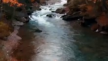 Majestic Autumn River - 4K Nature Relaxation (AI Art)