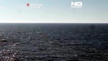 Εγκλωβισμένη φάλαινα στη Γερμανία απελευθερώνεται στη Βόρεια Θάλασσα