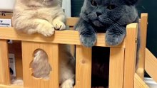 The most unexpected plot twist you'll see today!"