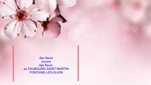LES FLEURS ENCORE DES FLEURS