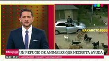 Roberto Funes Ugarte atacado por jauria de perros en vivo en El noticiero de la gente - Telefe