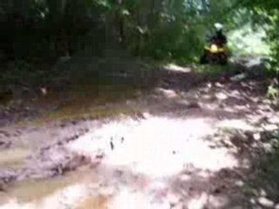 quad