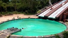 Survivor România 2026 - Episodul 50 de Sambata, 2 Mai 2026 partea 2