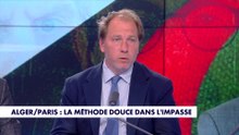 Raphael Stainville : «Le chef de l'Etat qui est censé protéger les Français, les met en danger»